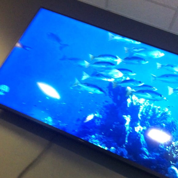 Meet your Posher, Michelle - Picture 1 of 1